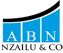 ABN Nzailu & Co
